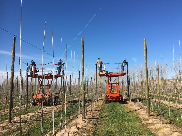 Box-1pm-working_Jofercan_3