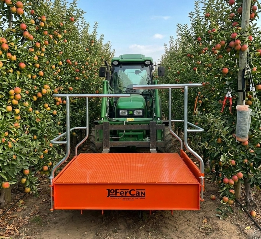 platafrma individual1