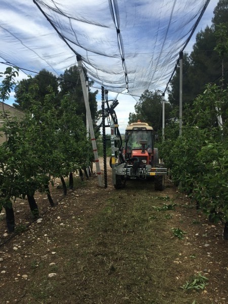 preporadora-manzanos
