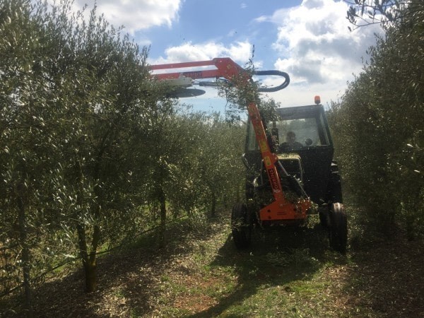 preporadora-poda-seco