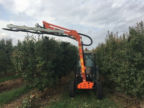 venta-prepodadora-seco